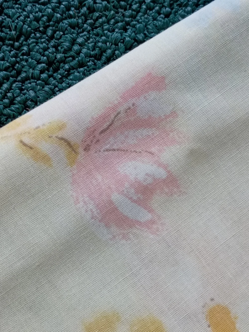 Vtg Dan River Dantrel No Iron Muslin Floral Pillowcases